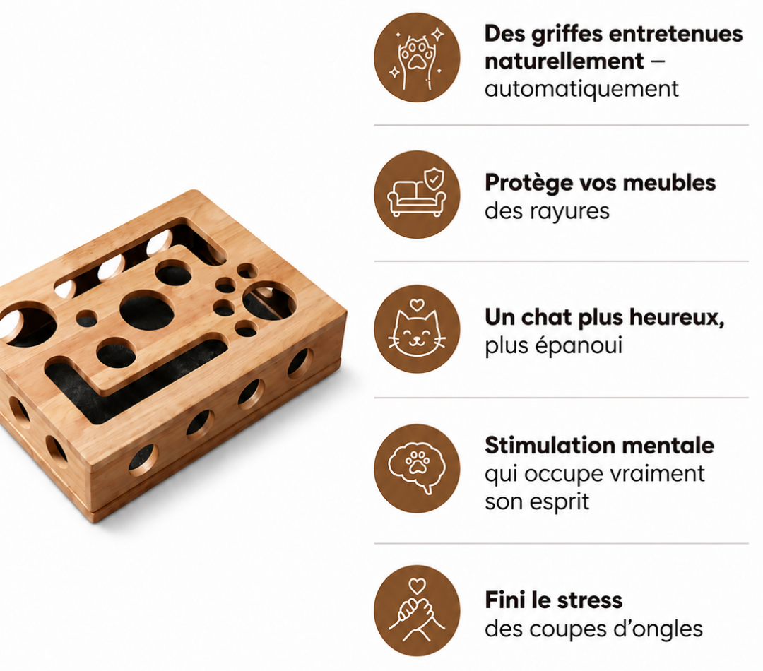 MOOLIE — Le Griffoir Interactif 🐾